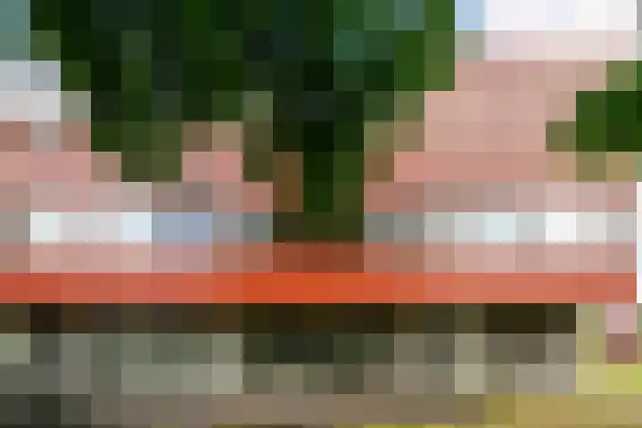 Zeelt 58 Amersfoort thumbnail 33