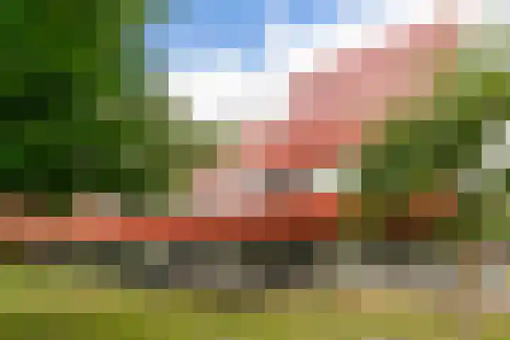 Zeelt 58 Amersfoort thumbnail 39