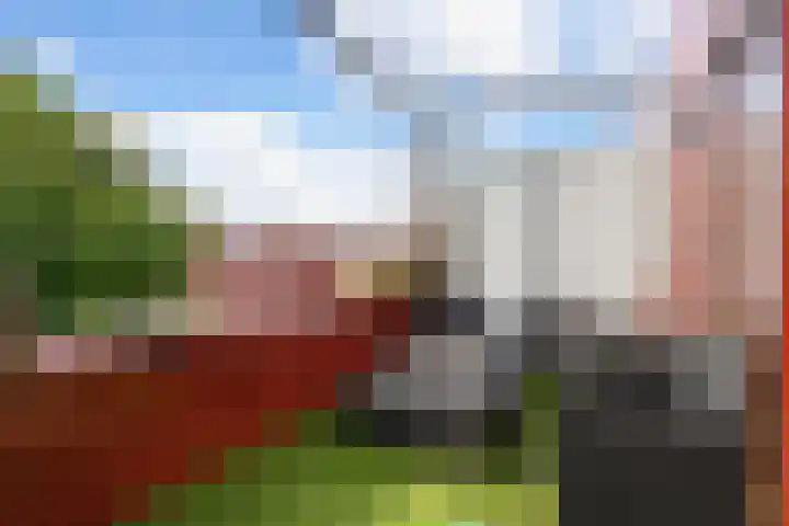 Zeelt 58 Amersfoort thumbnail 4
