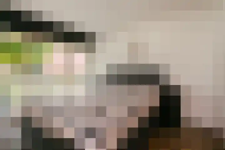 Zeelt 58 Amersfoort thumbnail 8