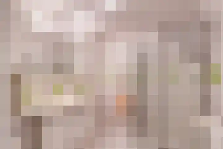 Zeelt 59 Amersfoort thumbnail 11