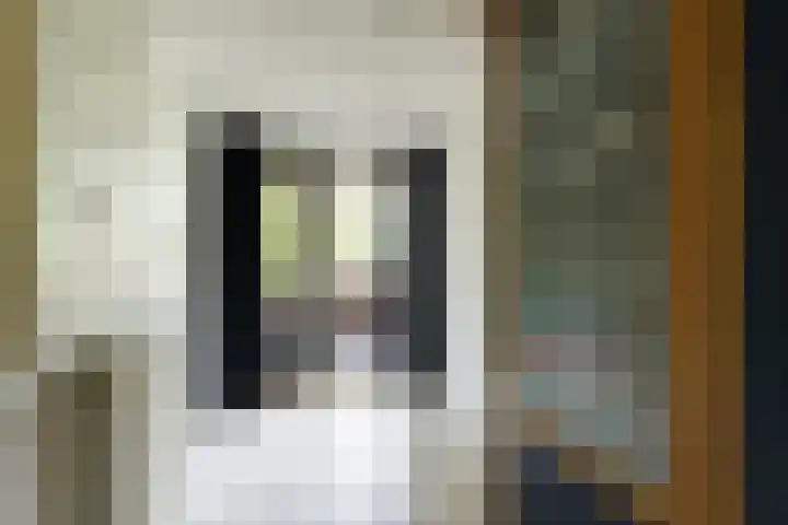 Zeelt 59 Amersfoort thumbnail 13