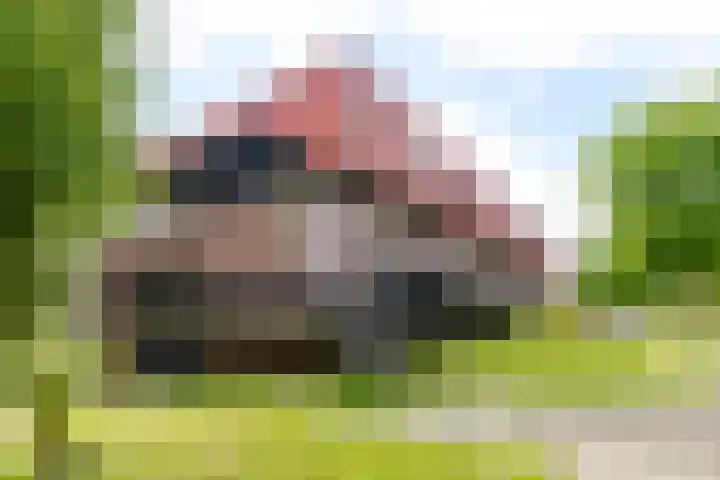Zeelt 59 Amersfoort thumbnail 17