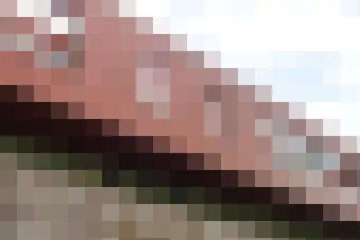 Zeelt 59 Amersfoort thumbnail 18