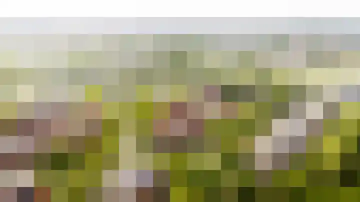 Zeelt 59 Amersfoort thumbnail 19
