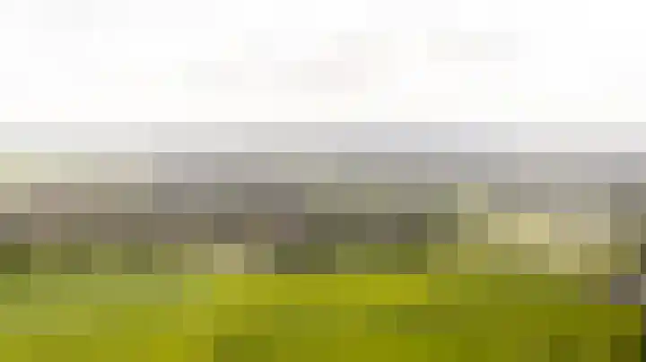 Zeelt 59 Amersfoort thumbnail 20