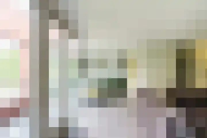 Zeelt 59 Amersfoort thumbnail 6