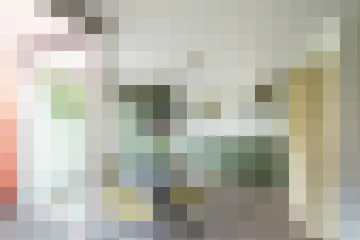 Zeelt 59 Amersfoort thumbnail 7
