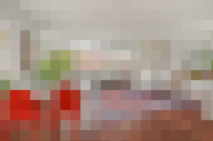 Zeelt 62 Amersfoort thumbnail 17