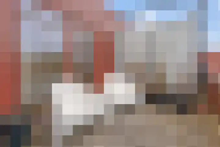 Zeelt 62 Amersfoort thumbnail 22