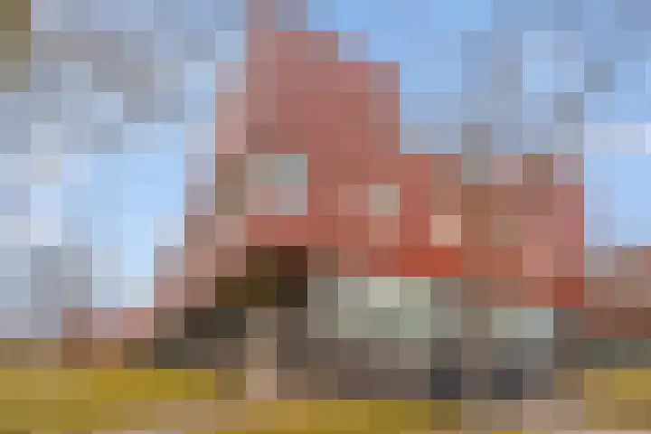 Zeelt 62 Amersfoort thumbnail 26
