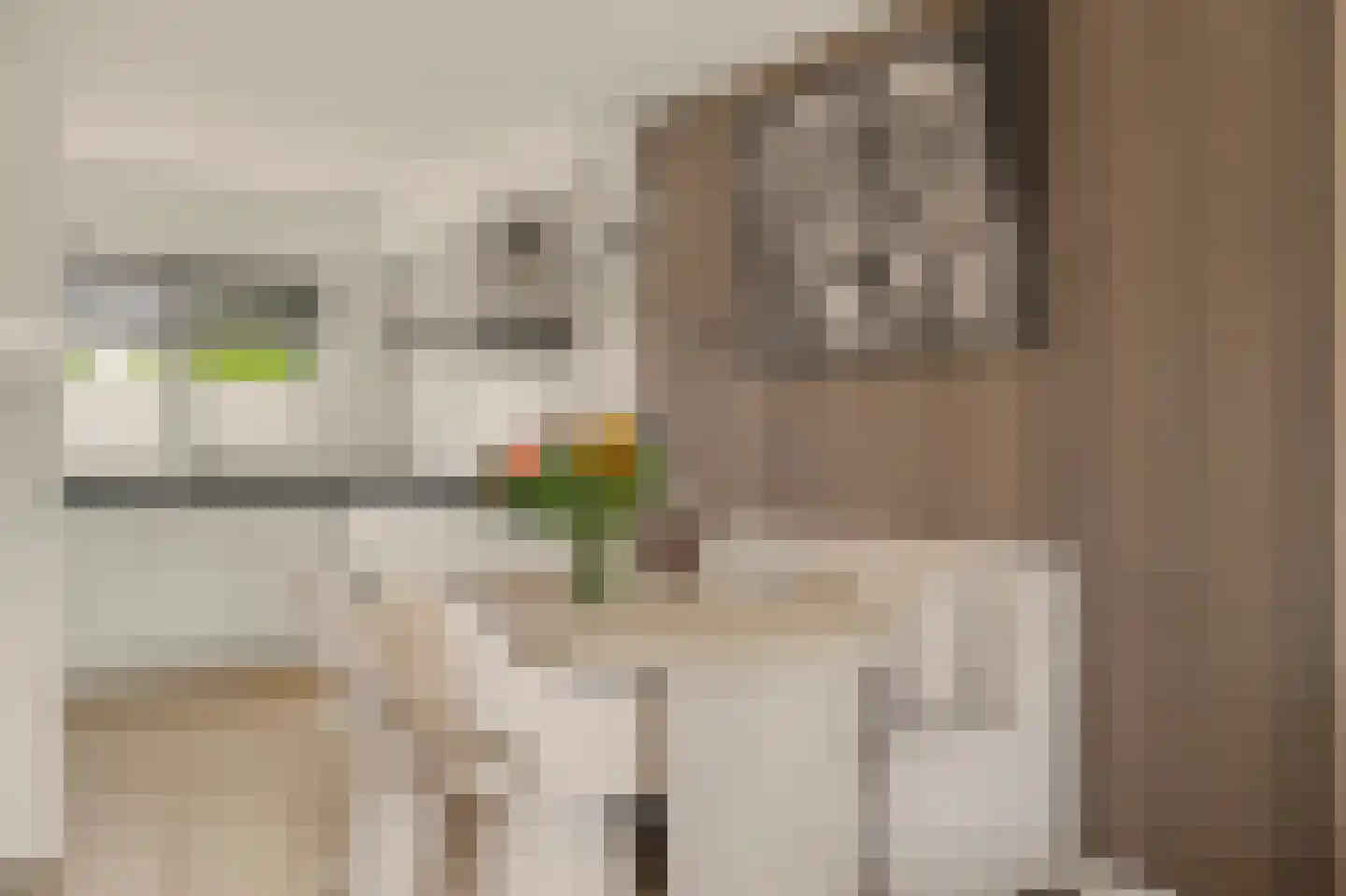 Zeelt 77 Alblasserdam thumbnail 11