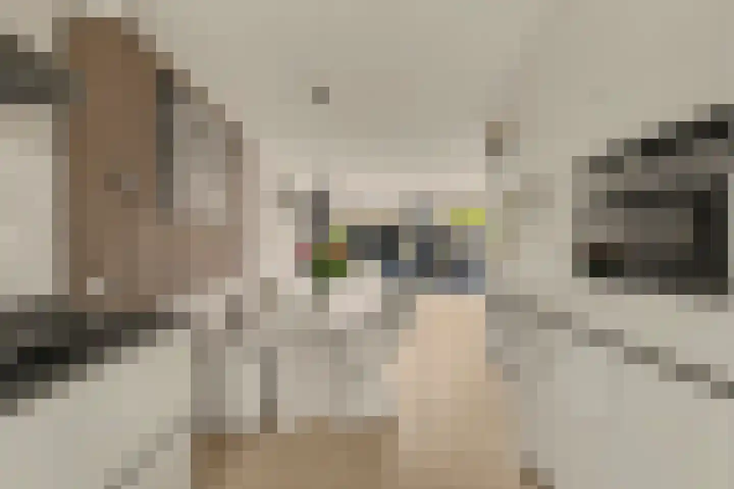 Zeelt 77 Alblasserdam thumbnail 12