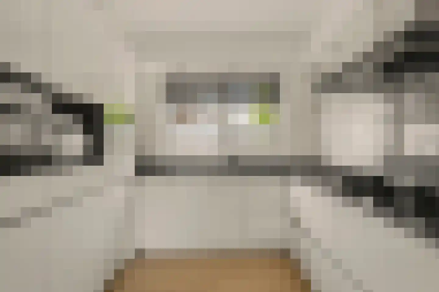 Zeelt 77 Alblasserdam thumbnail 15