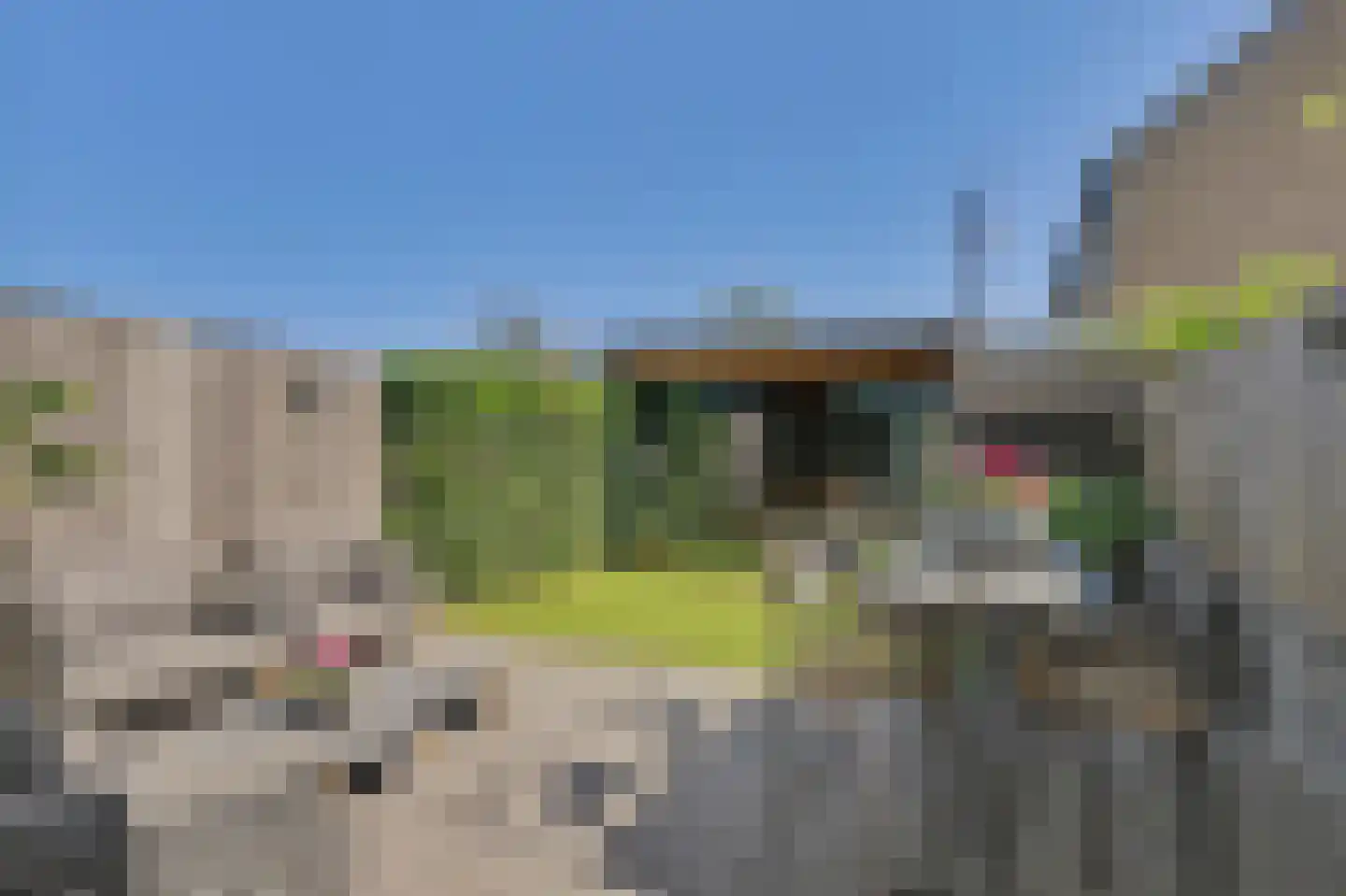 Zeelt 77 Alblasserdam thumbnail 34