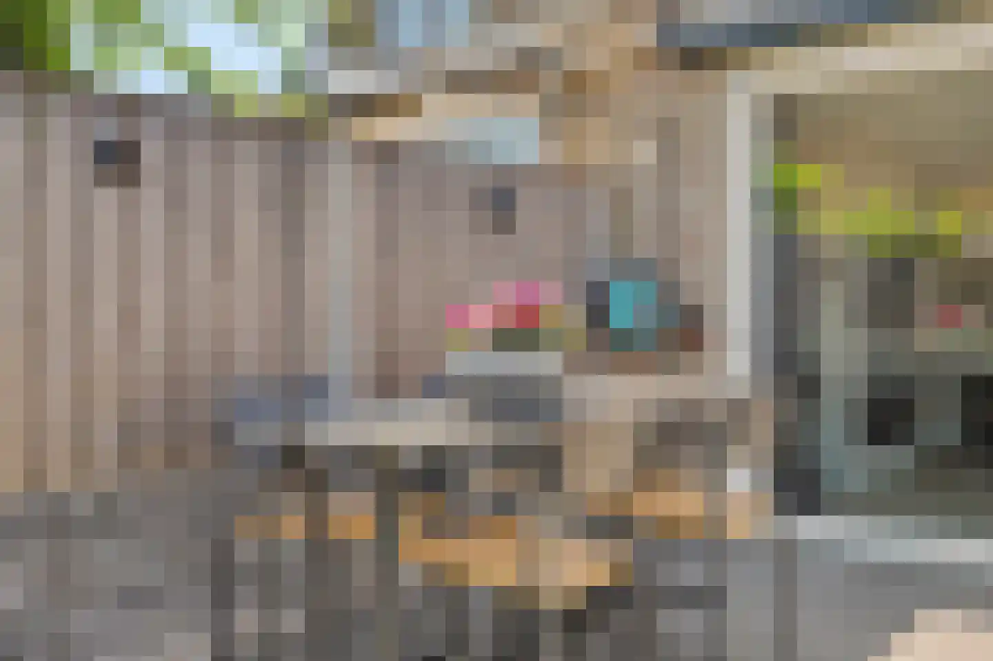 Zeelt 77 Alblasserdam thumbnail 37
