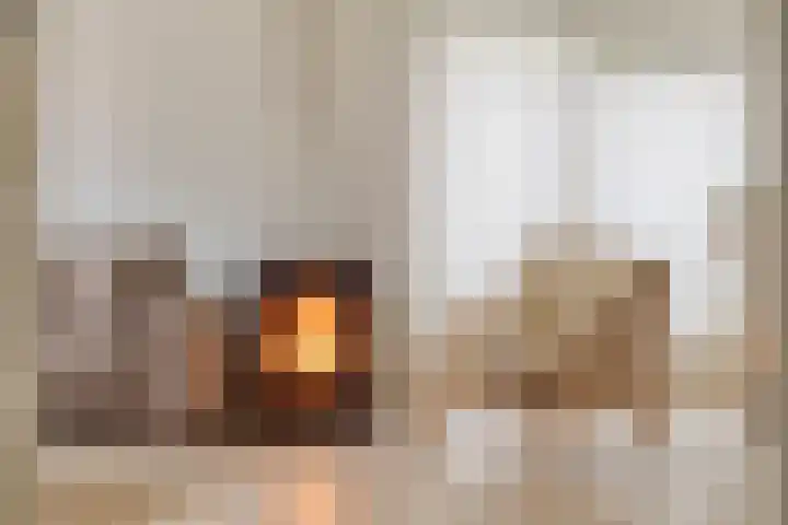 Zeeltborch 7 Rosmalen thumbnail 10