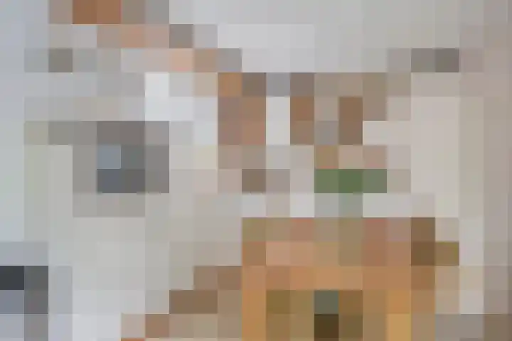 Zeeltborch 7 Rosmalen thumbnail 14