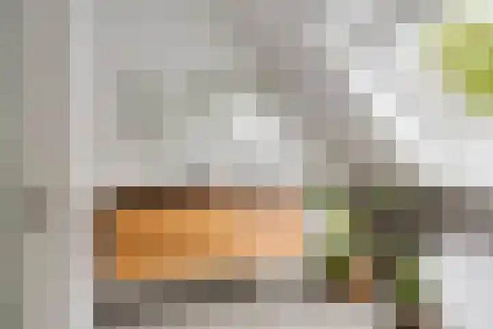 Zeeltborch 7 Rosmalen thumbnail 23