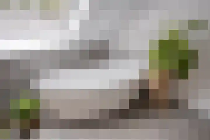 Zeeltborch 7 Rosmalen thumbnail 25