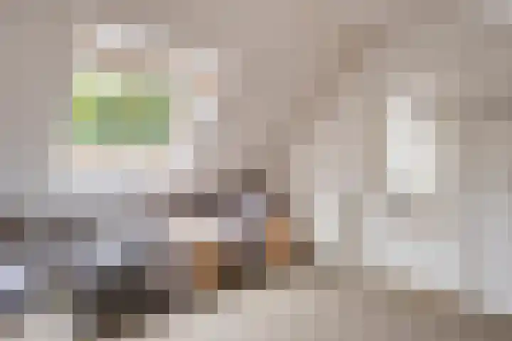 Zeeltborch 7 Rosmalen thumbnail 30