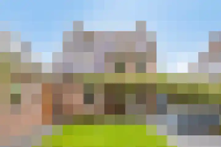 Zeeltborch 7 Rosmalen thumbnail 33