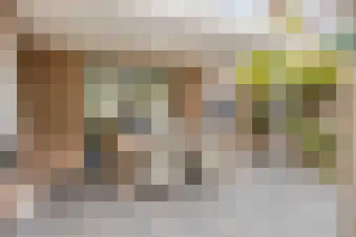 Zeeltborch 7 Rosmalen thumbnail 34