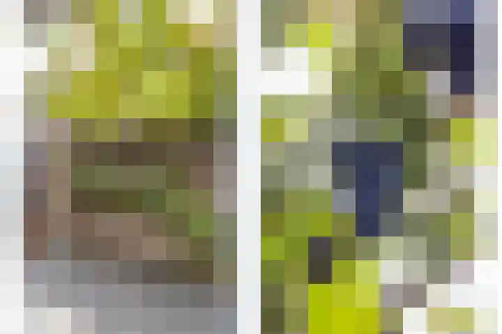 Zeeltborch 7 Rosmalen thumbnail 36