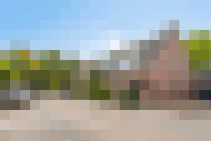 Zeeltborch 7 Rosmalen thumbnail 43