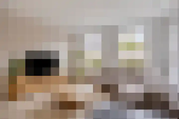 Zeeltborch 7 Rosmalen thumbnail 7