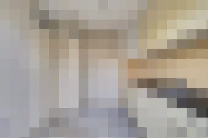 Zeeltsloot 10 Houten thumbnail 12