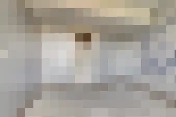 Zeeltsloot 10 Houten thumbnail 15