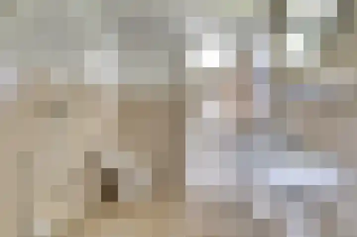 Zeeltsloot 10 Houten thumbnail 20