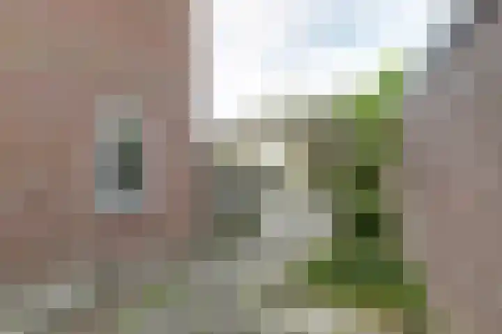 Zeeltsloot 10 Houten thumbnail 31