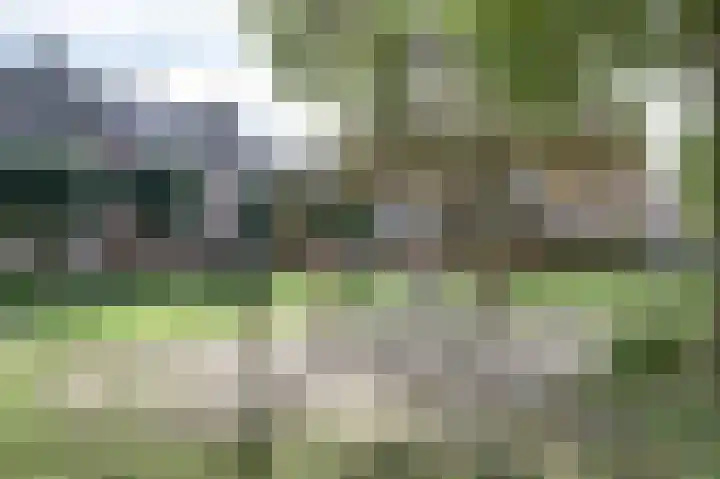 Zeeltsloot 10 Houten thumbnail 32
