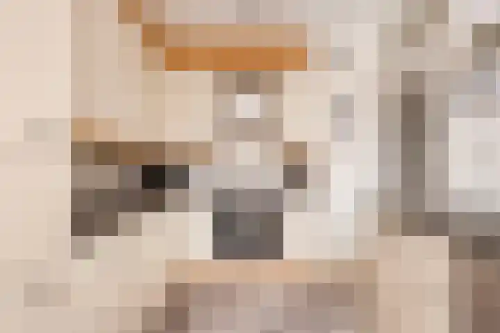 Zeeltsloot 3 Houten thumbnail 11