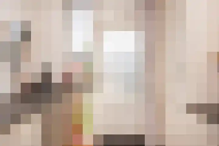Zeeltsloot 3 Houten thumbnail 13