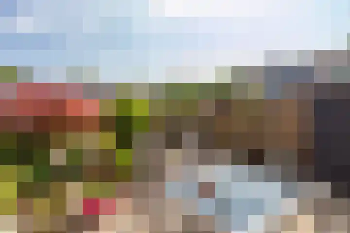Zeeltsloot 3 Houten thumbnail 15