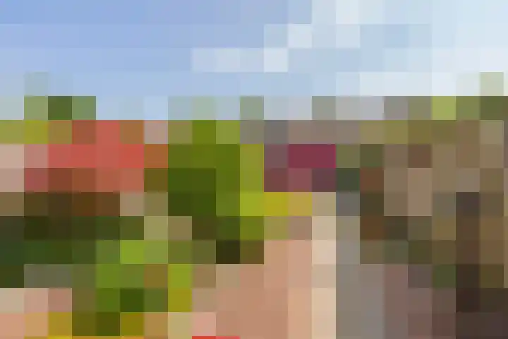 Zeeltsloot 3 Houten thumbnail 16