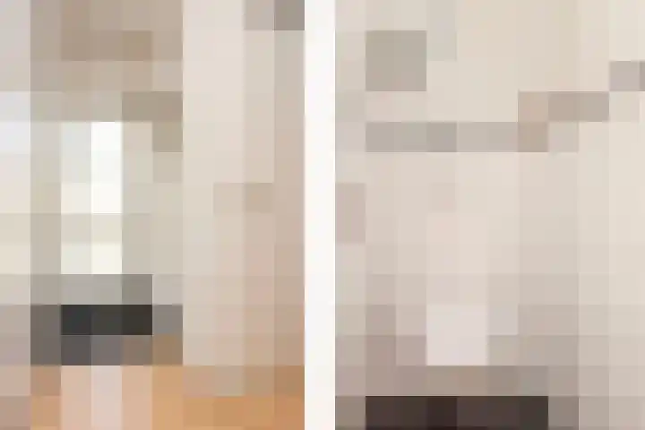 Zeeltsloot 3 Houten thumbnail 21