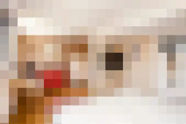 Zeeltsloot 3 Houten thumbnail 23