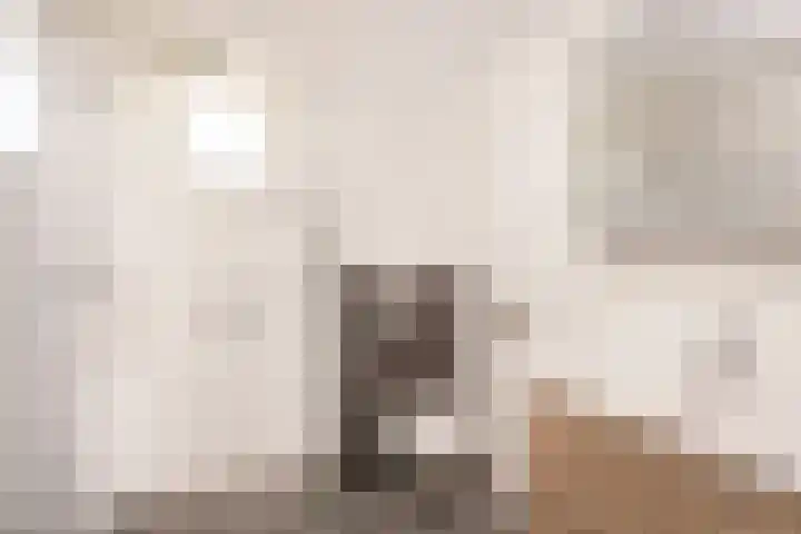 Zeeltsloot 3 Houten thumbnail 29