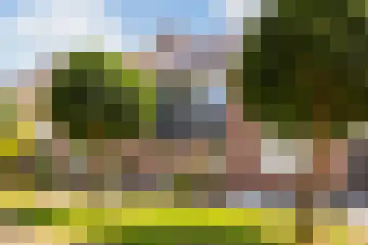 Zeeltsloot 3 Houten thumbnail 37