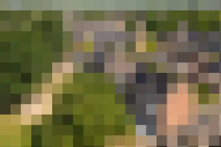 Zeeltsloot 3 Houten thumbnail 40