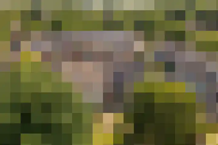 Zeeltsloot 3 Houten thumbnail 41