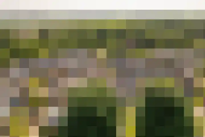 Zeeltsloot 3 Houten thumbnail 42