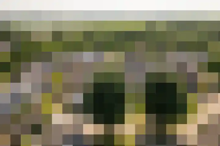 Zeeltsloot 3 Houten thumbnail 43