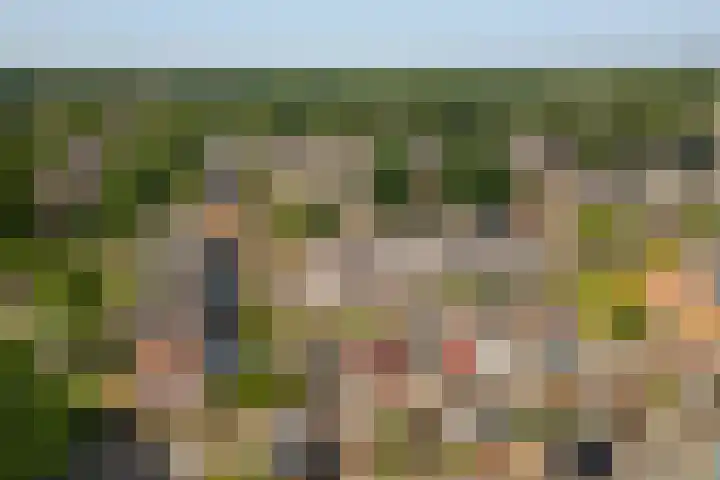 Zeeltsloot 3 Houten thumbnail 44