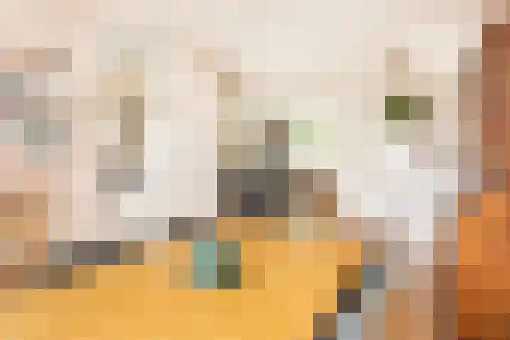Zeeltsloot 3 Houten thumbnail 9