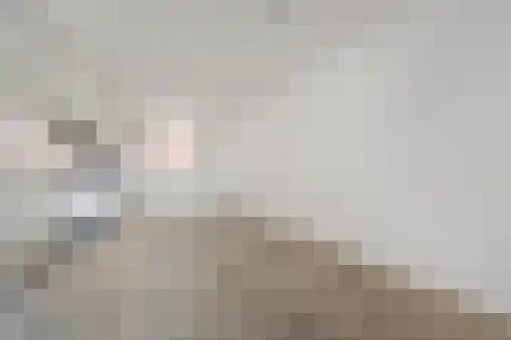 Zeeltsloot 89 Zoetermeer thumbnail 11
